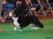 Crufts Jitka 141 Thamesmere Plum Choice for Russfield.jpg